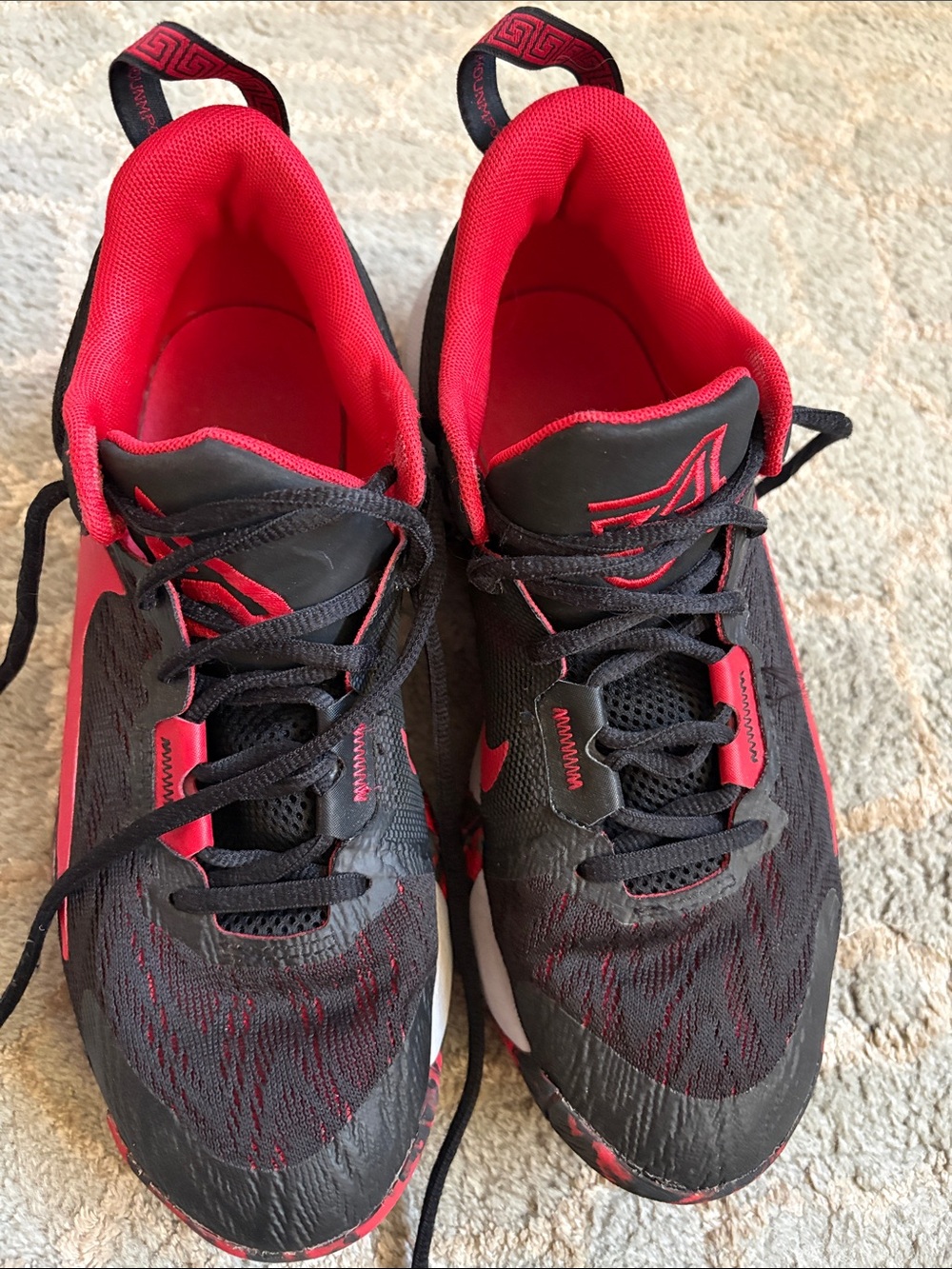 Nike Black and Red sneakers